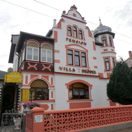 Pension Villa Broedel Bad Blankenburg Esterno foto